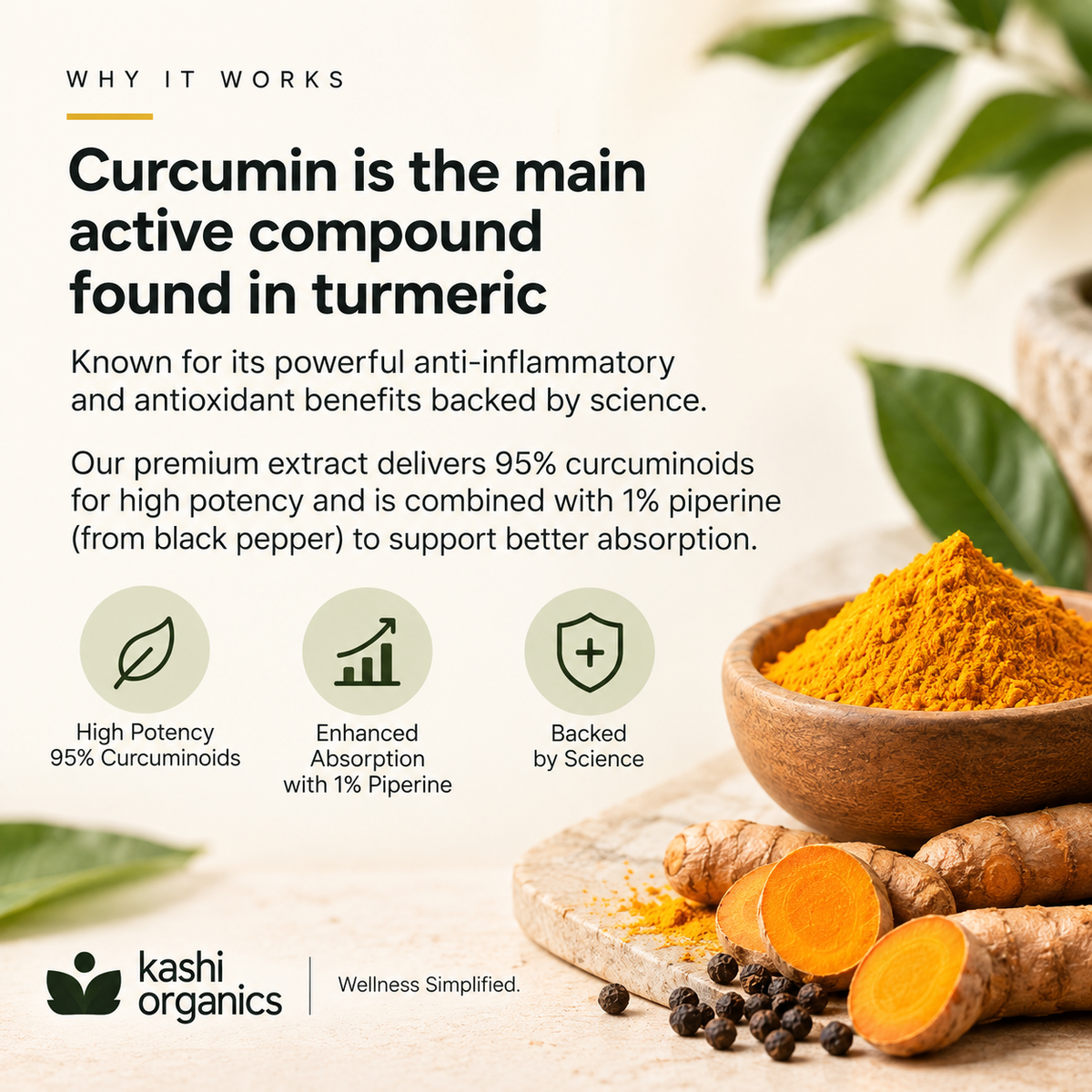 Curcumin 95 - Premium Turmeric Extract Powder